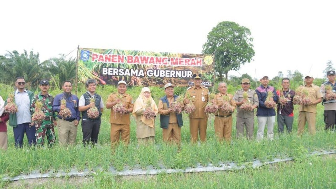 Penjabat Gubernur Kepulauan Bangka Belitung Sugito meresmikan panen bawang merah 5 ton di Bangka Tengah, sebagai upaya meningkatkan ketahanan pangan daerah dan mengurangi ketergantungan pada pasokan luar.