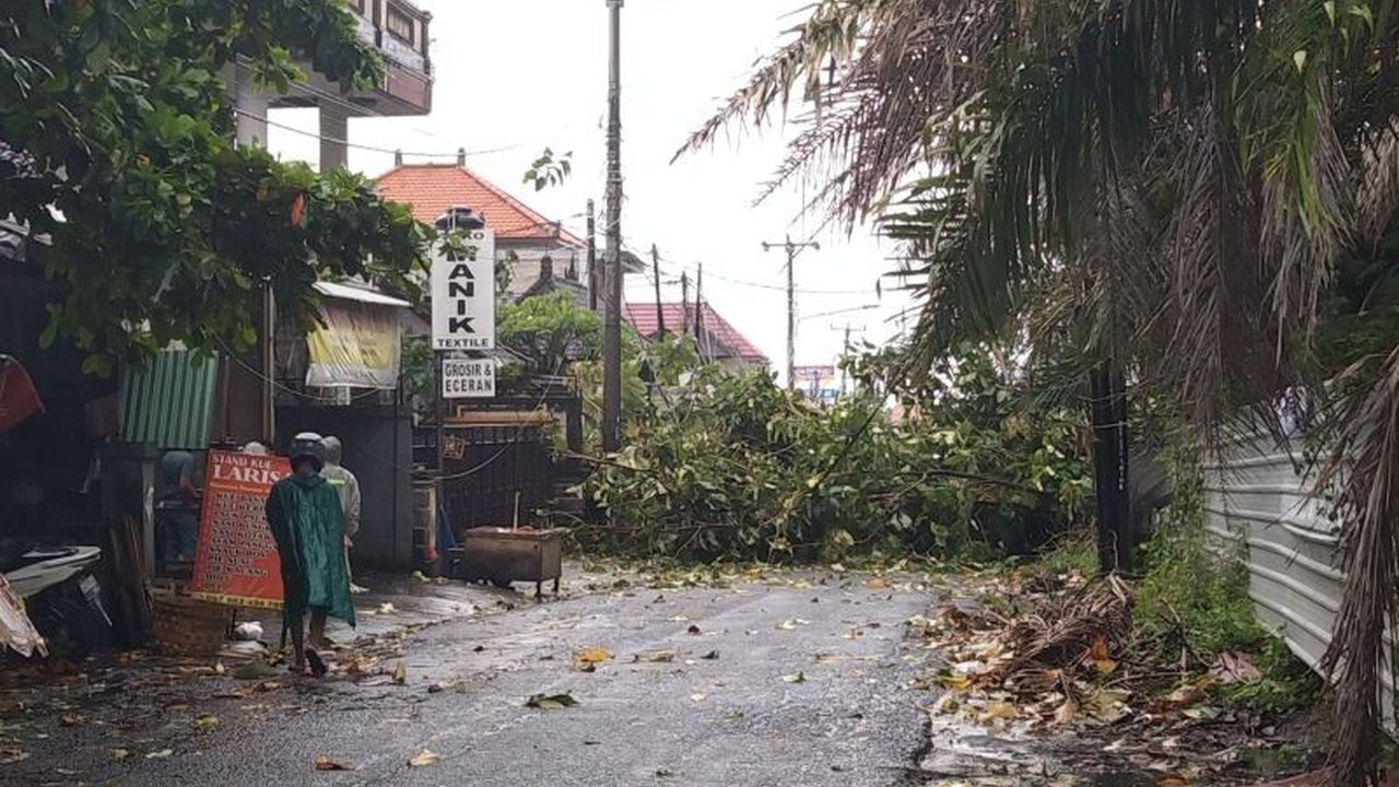 BBMKG Denpasar memperingatkan masyarakat Bali akan angin kencang hingga 60 km/jam, hujan lebat, dan gelombang tinggi pada 11-13 Februari 2025, akibat bibit siklon tropis 96S dan pertemuan angin.