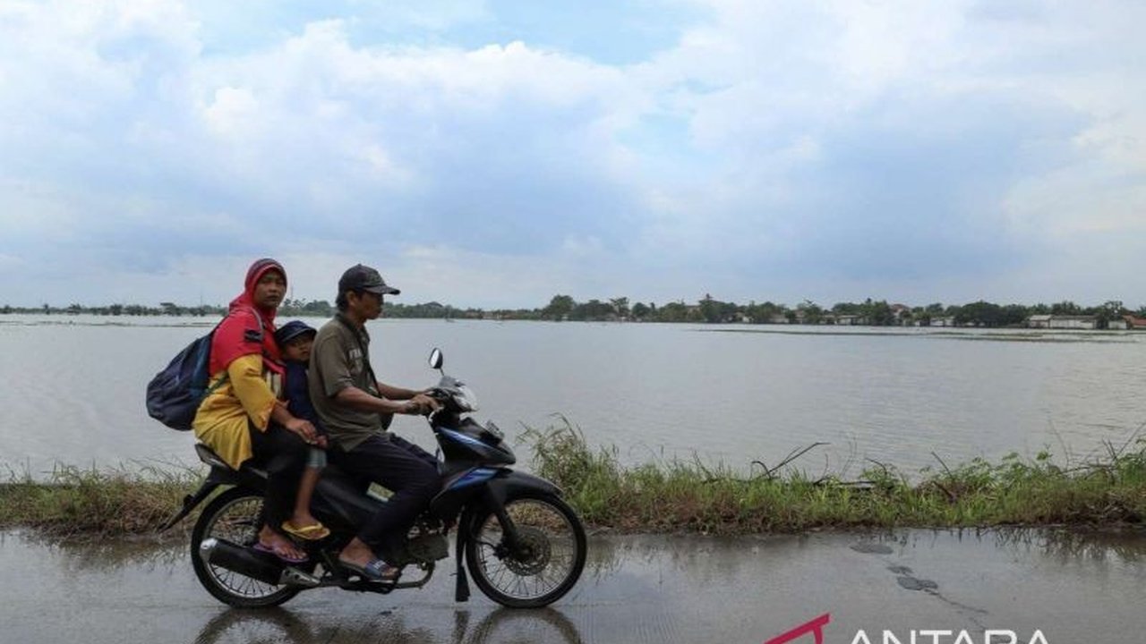 Dinas Pertanian Kabupaten Bekasi melakukan mitigasi dan antisipasi dampak hujan tinggi yang berpotensi menggenangi sawah, termasuk pemantauan genangan, inventarisasi alat pertanian, dan menyiapkan bantuan benih.