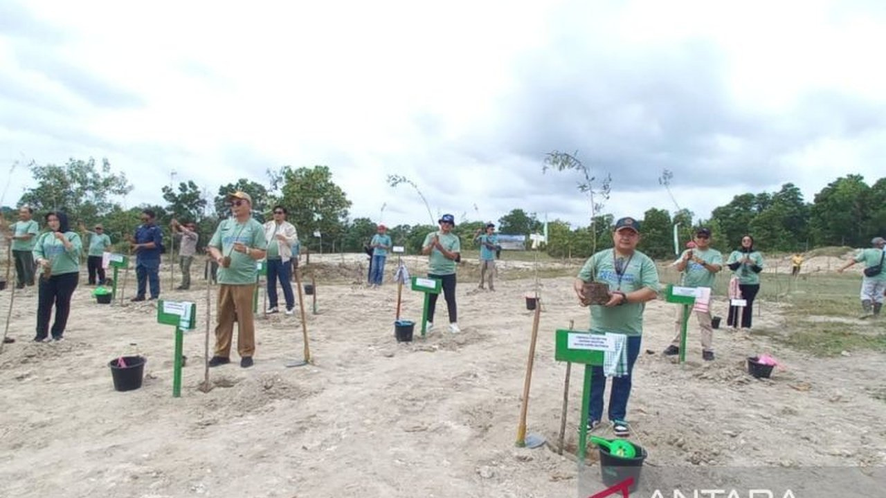 PNM-BRI Insurance Tanam 1.000 Bibit Pohon di Pangkalpinang: Wujud Peduli Lingkungan