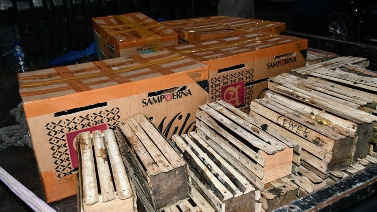 Badan Karantina Indonesia (Barantin) dan Ditpolair Baharkam Polri menggagalkan penyelundupan 67 satwa liar, termasuk tupai dan burung puyuh, di Pelabuhan Tanjung Priok pada 9 Februari 2024, yang melanggar UU Karantina Hewan, Ikan, dan Tumbuhan.