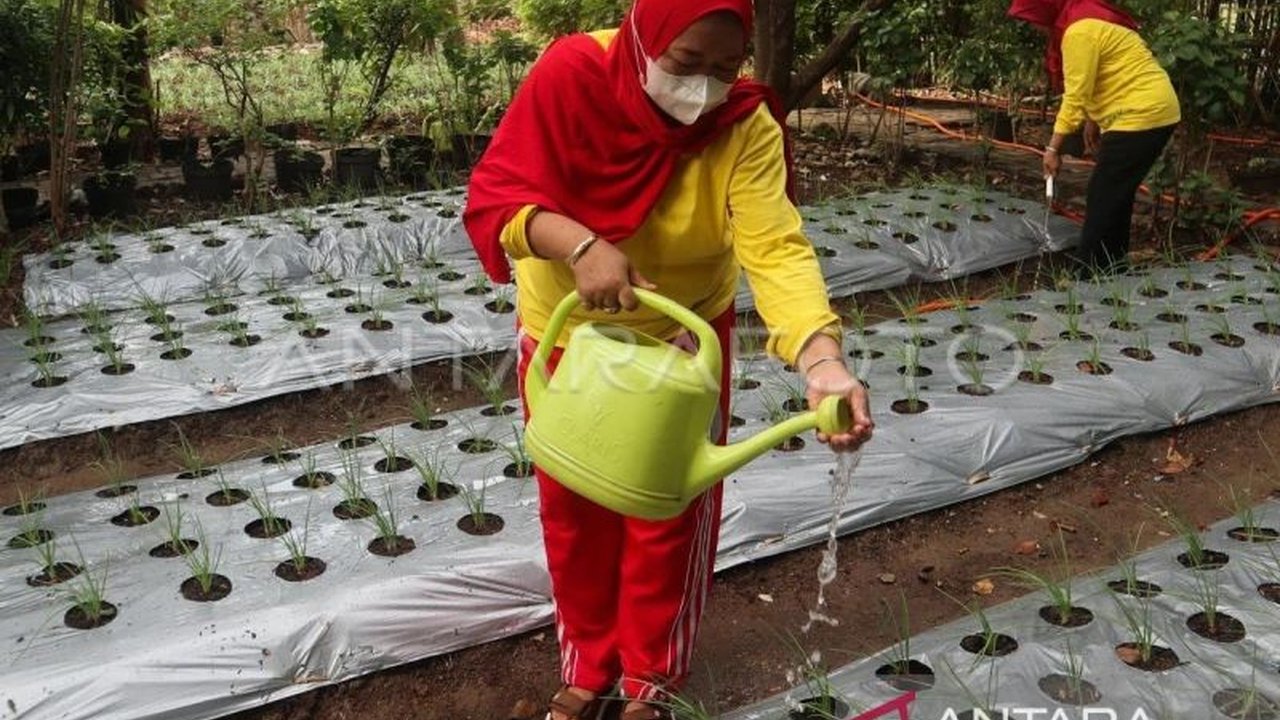 Hingga 2024, 402 desa di Aceh telah terdaftar dalam Program Kampung Iklim (Proklim) Kementerian Lingkungan Hidup dan Kehutanan, berkontribusi mencegah lebih dari 114.000 ton emisi karbon.