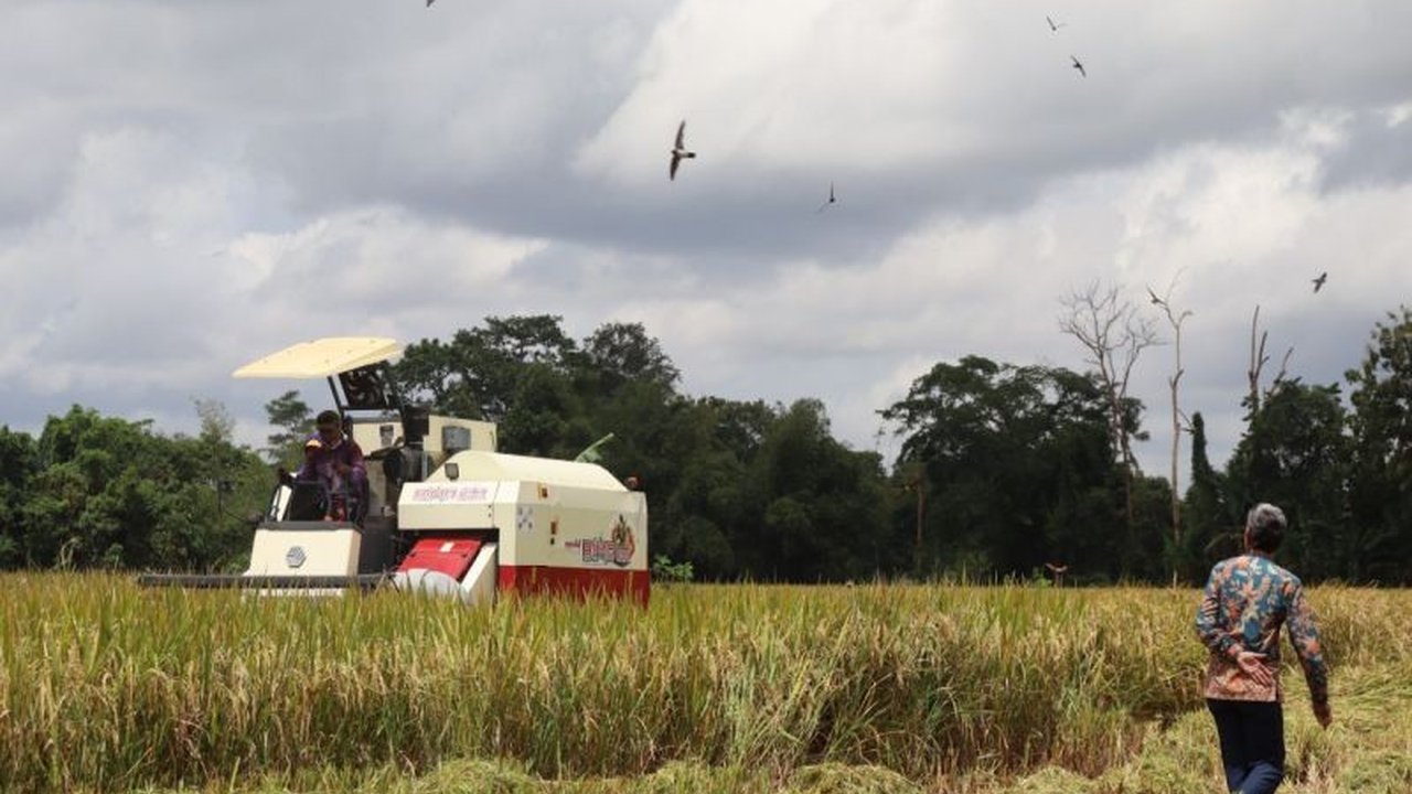 Dinas Pertanian Pangan dan Perikanan Sleman memprediksi panen raya Februari-April 2025 mencapai 13.439 hektare, dengan potensi produksi beras hingga 39.381 ton dan penyerapan Bulog hingga 11.229 ton.