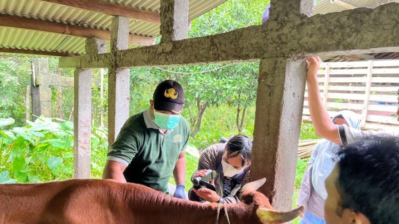 Dinas Pertanian Pangan dan Perikanan (DP3) Sleman gencar menggelar 