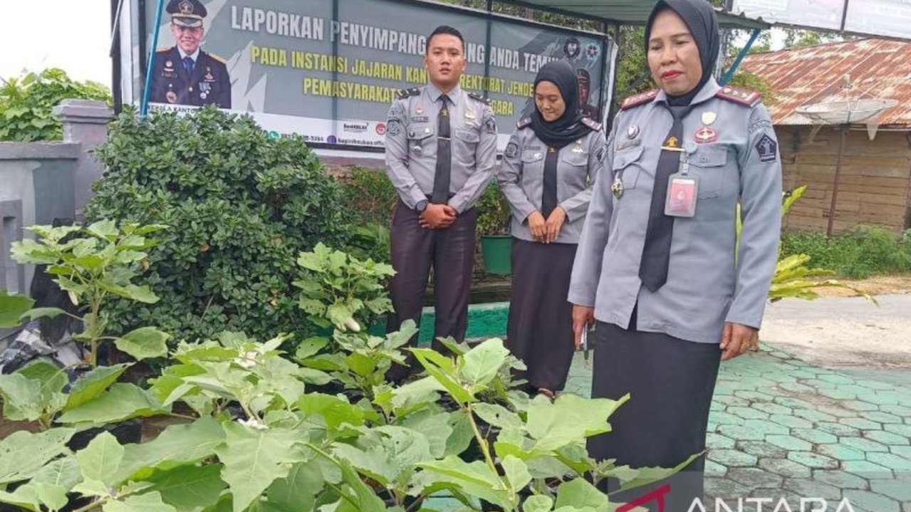 Balai Pemasyarakatan (Bapas) Kelas II Baubau bermitra dengan 19 Pembimbing Kemasyarakatan (PK) untuk memberikan pendampingan dan bimbingan kepada 384 klien yang telah menjalani hukuman, fokus pada kemandirian dan kepribadian untuk mencegah tindak pidana b