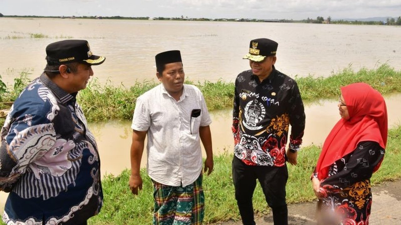 Pemerintah Provinsi Sulawesi Selatan menyiapkan bantuan benih bagi petani di Maros yang mengalami puso akibat banjir yang merendam sekitar 1000 hektare lahan, termasuk sawah di Desa Mattirotasi.