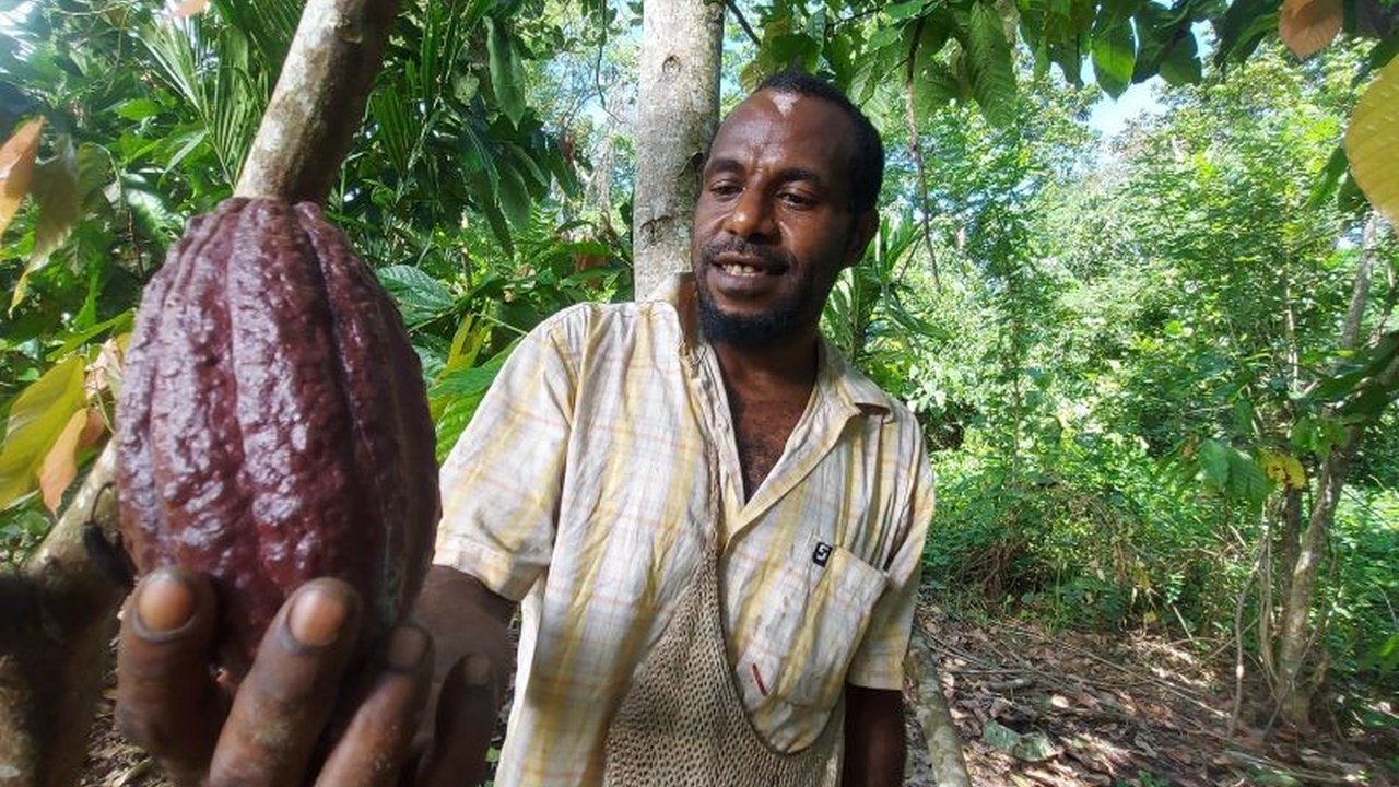 Lonjakan harga cokelat Valentine 2025 akibat krisis iklim yang melanda perkebunan kakao di Ghana, Pantai Gading, dan Indonesia mengancam petani dan ekonomi global.