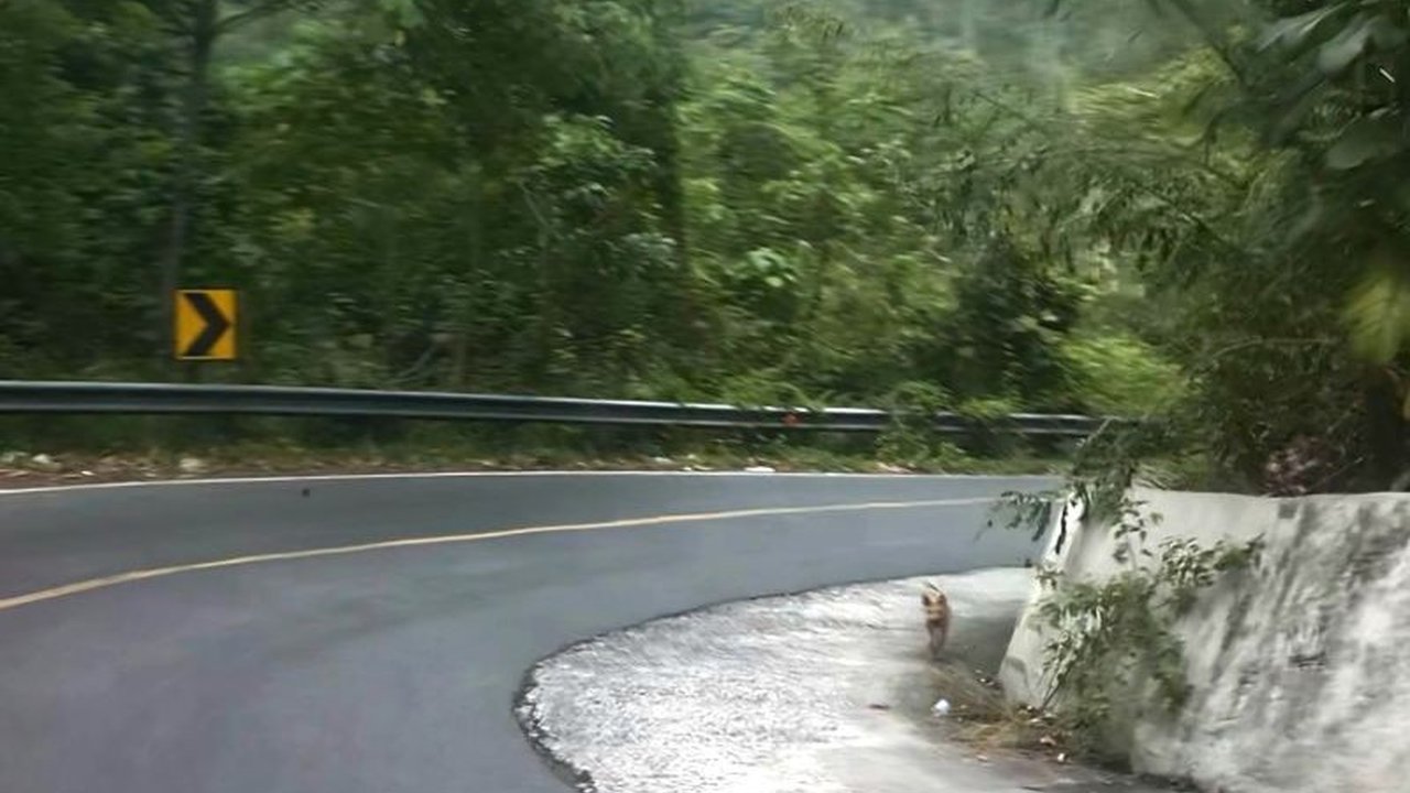 Dishub Lampung mengusulkan penambahan jalur pemberhentian darurat di ruas jalan rawan kecelakaan, terutama di Lemong dan Bakauheni, untuk mencegah kecelakaan di tahun 2025-2026, khususnya selama arus mudik Lebaran.