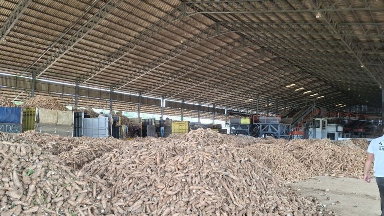 DPD RI usul BUMD menjadi offtaker ubi kayu untuk menstabilkan harga dan mencegah monopoli perdagangan, mendorong pertumbuhan ekonomi desa di Lampung.