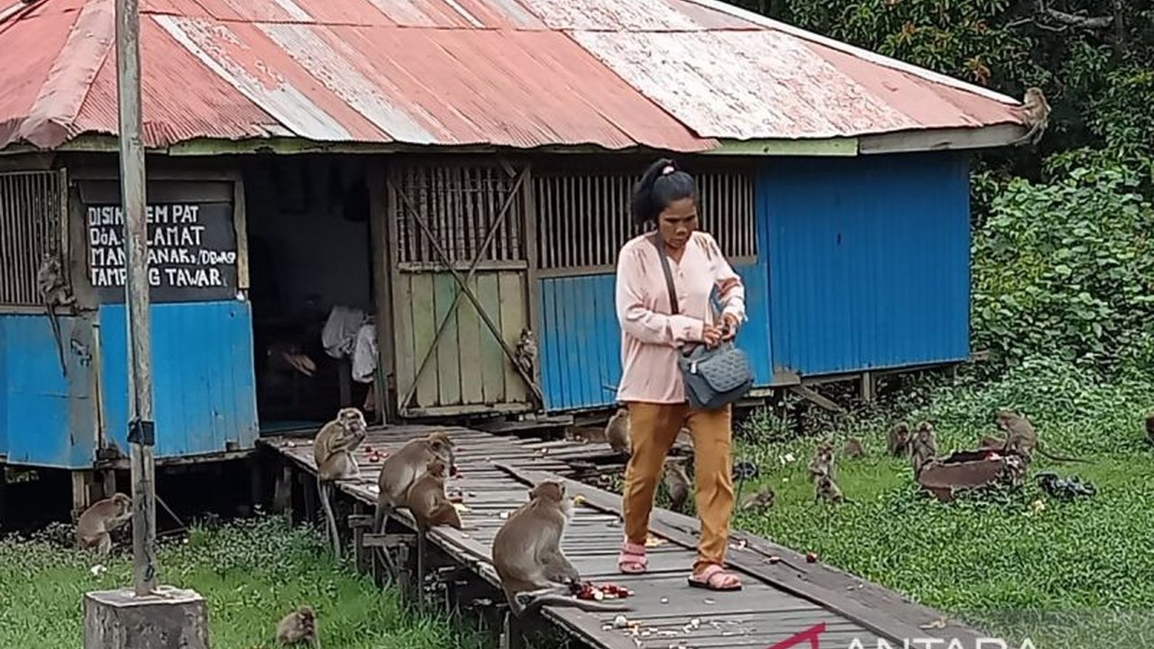 BBKSDA Batam mengimbau masyarakat menjaga kebersihan lingkungan untuk mencegah monyet liar masuk permukiman setelah viralnya kasus gigitan monyet di Taman Baloi.