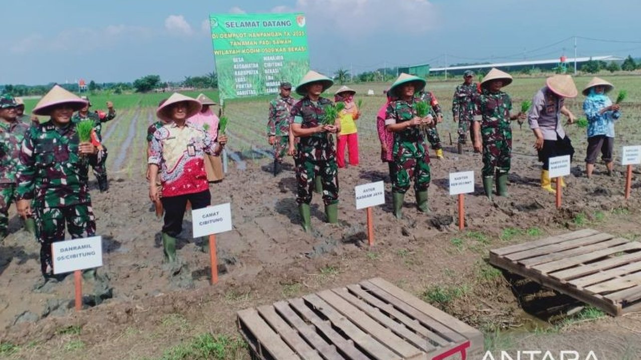 Kolonel Inf Wawan Kusnendar mengunjungi lahan pertanian terpadu Korem 051/Wijayakarta di Bekasi, menanam padi unggulan, dan menekankan pentingnya kolaborasi TNI, pemerintah, dan masyarakat untuk ketahanan pangan nasional.