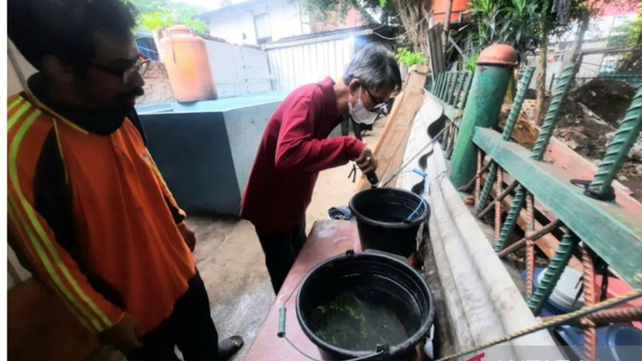 Pemkot Jaktim mencatat 141 kasus DBD di 10 kecamatan pada Januari-Februari 2025 dan meminta warga giat melakukan PSN untuk mencegah penyebaran penyakit.