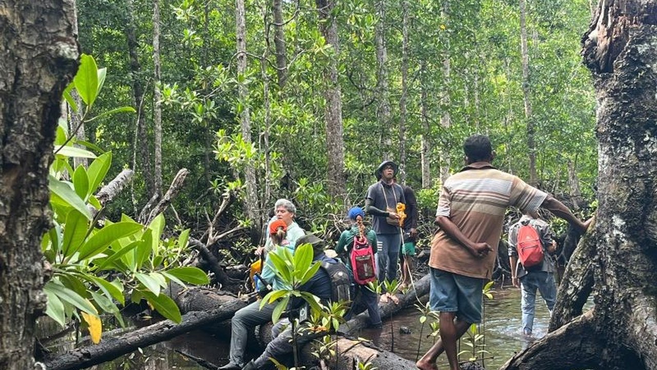 Unipa: Penelitian Mangrove dan Lamun untuk Mitigasi Perubahan Iklim