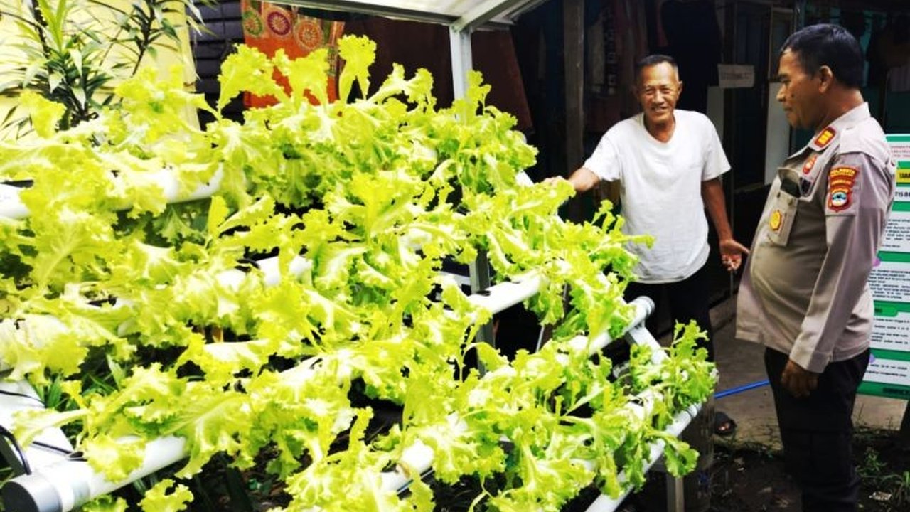 Polresta Banjarmasin melalui Bhabinkamtibmas aktif mendukung pengembangan kebun skala mikro milik warga di Banjarmasin untuk meningkatkan ketahanan pangan, sejalan dengan program pemerintah.