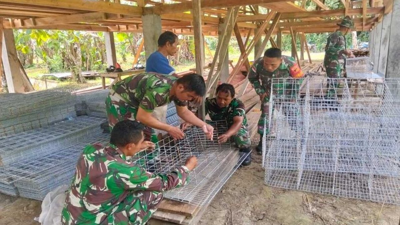 TNI membantu warga Desa Essang, Talaud, membangun kandang ayam petelur untuk mendukung program ketahanan pangan nasional, meningkatkan gizi masyarakat, dan perekonomian lokal.