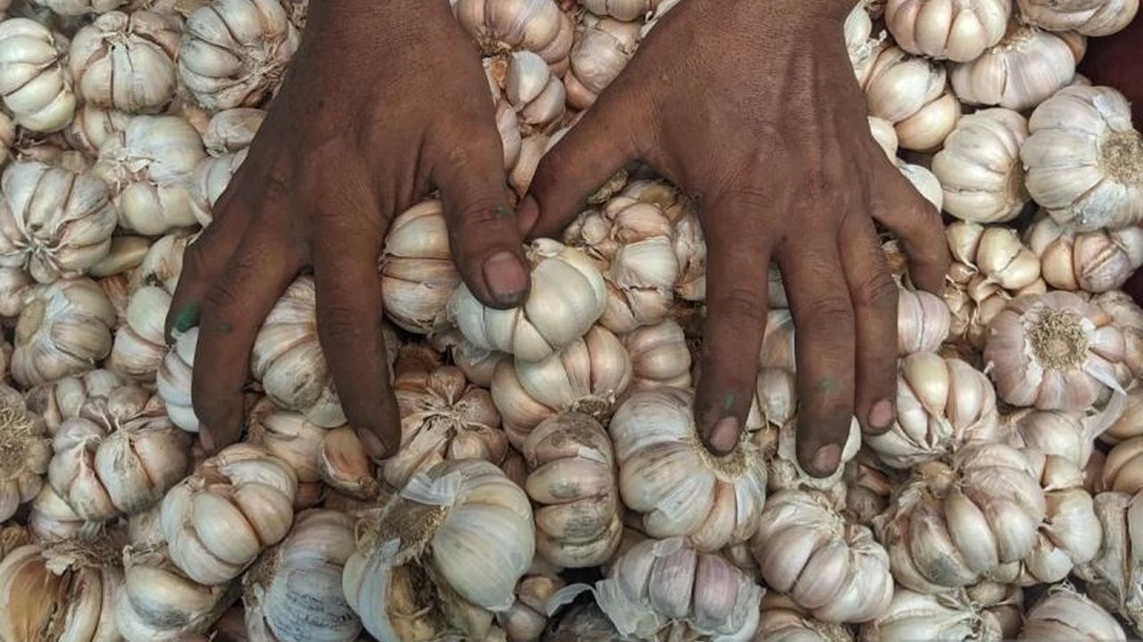 Pusat Informasi Harga Pangan Strategis (PIHPS) mencatat harga sejumlah komoditas pangan pada Sabtu pagi, termasuk bawang putih Rp44.750/kg dan telur ayam Rp29.800/kg, serta rincian harga komoditas lainnya.