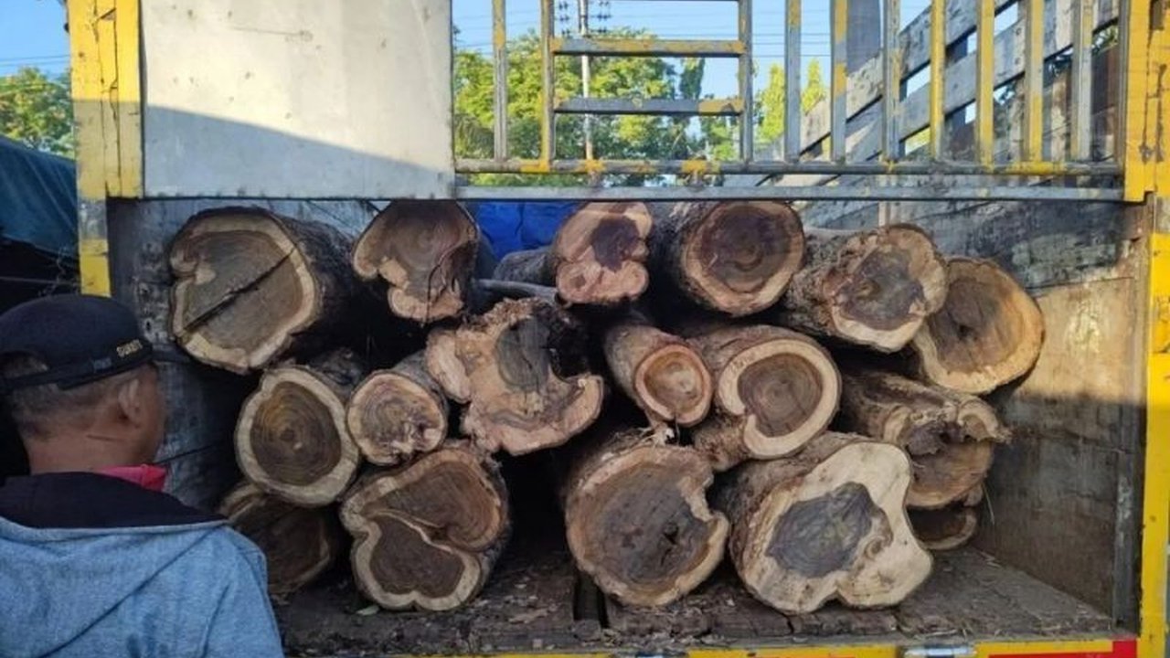 Polhut KPH Madiun menggagalkan pencurian 11 gelondong kayu jati di hutan petak 42A, RPH Mruwak, pada Jumat (14/2/2025) sore, dan kini kasus tersebut ditangani Polres Madiun.