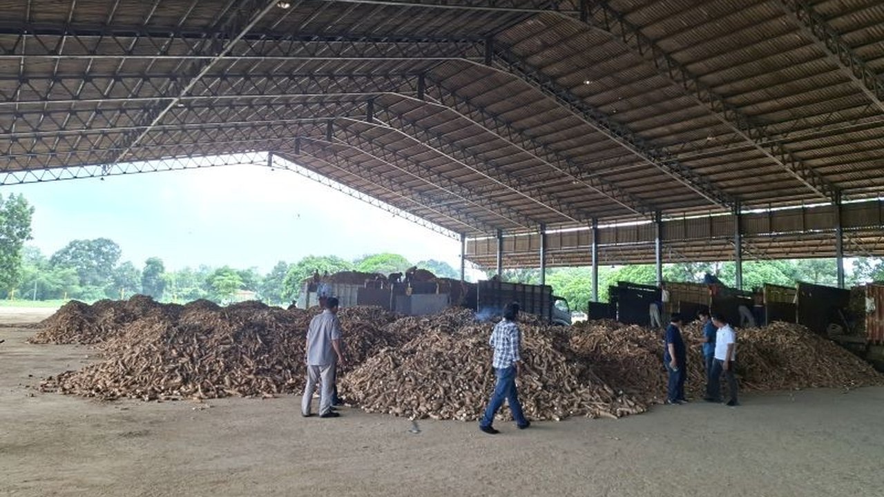 Pemerintah Provinsi Lampung mulai merancang Rencana Definitif Kebutuhan Kelompok (RDKK) pupuk subsidi ubi kayu untuk meningkatkan produksi hingga 7,5 juta ton pada 2024, setelah sebelumnya komoditas ini ditetapkan sebagai penerima subsidi pupuk.