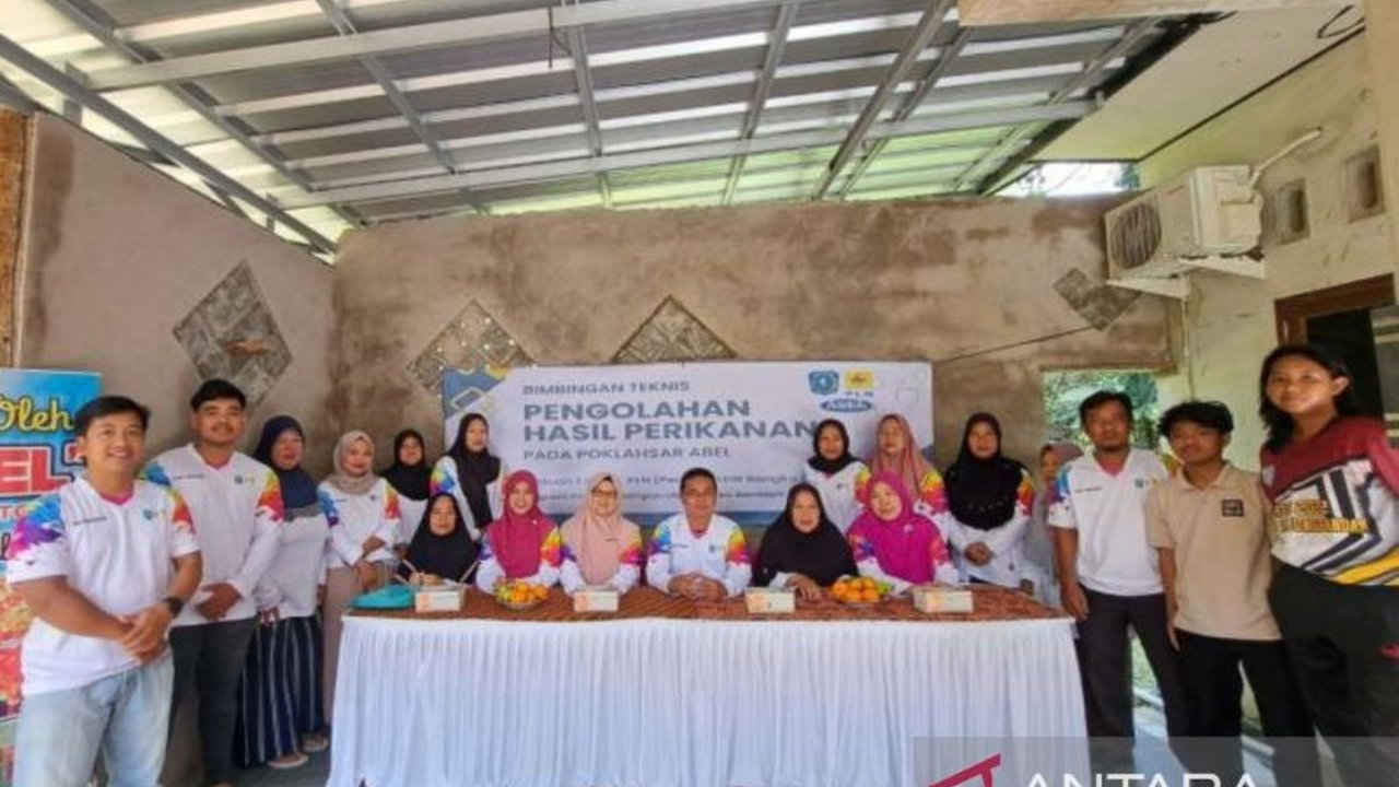 PLN UP3 Belitung berkolaborasi dengan Dinas Kelautan dan Perikanan Kabupaten Belitung melatih 11 kelompok usaha perikanan untuk meningkatkan kapasitas dan kemandirian usaha, meliputi perizinan, pengelolaan mutu ikan, dan pemasaran.