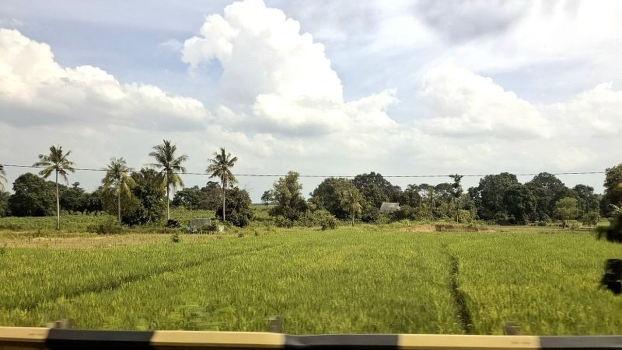 Pemerintah Provinsi Lampung, Bulog, dan Perpadi siap serap maksimal panen petani di Februari 2024 dan panen raya mendatang, dengan harga pembelian pemerintah (HPP) terbaru Rp6.500 per kilogram.