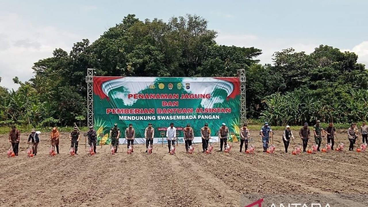 Kapolri Jenderal Listyo Sigit Prabowo bersama Gubernur DIY menanam jagung di Bantul, mendukung program swasembada pangan pemerintah dengan target satu juta hektar lahan jagung pada 2025.