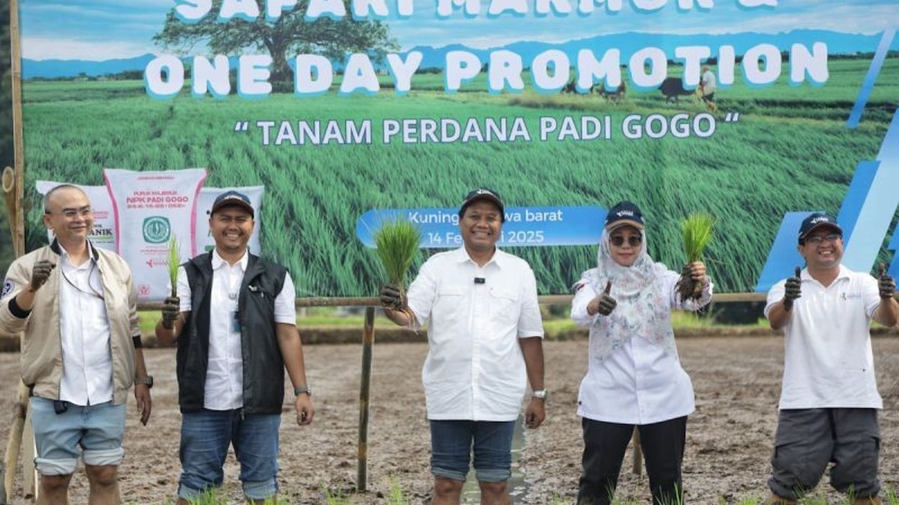 PT Pupuk Indonesia mengajak petani Kuningan menerapkan pertanian berkelanjutan lewat program Makmur, guna meningkatkan produktivitas dan swasembada pangan.