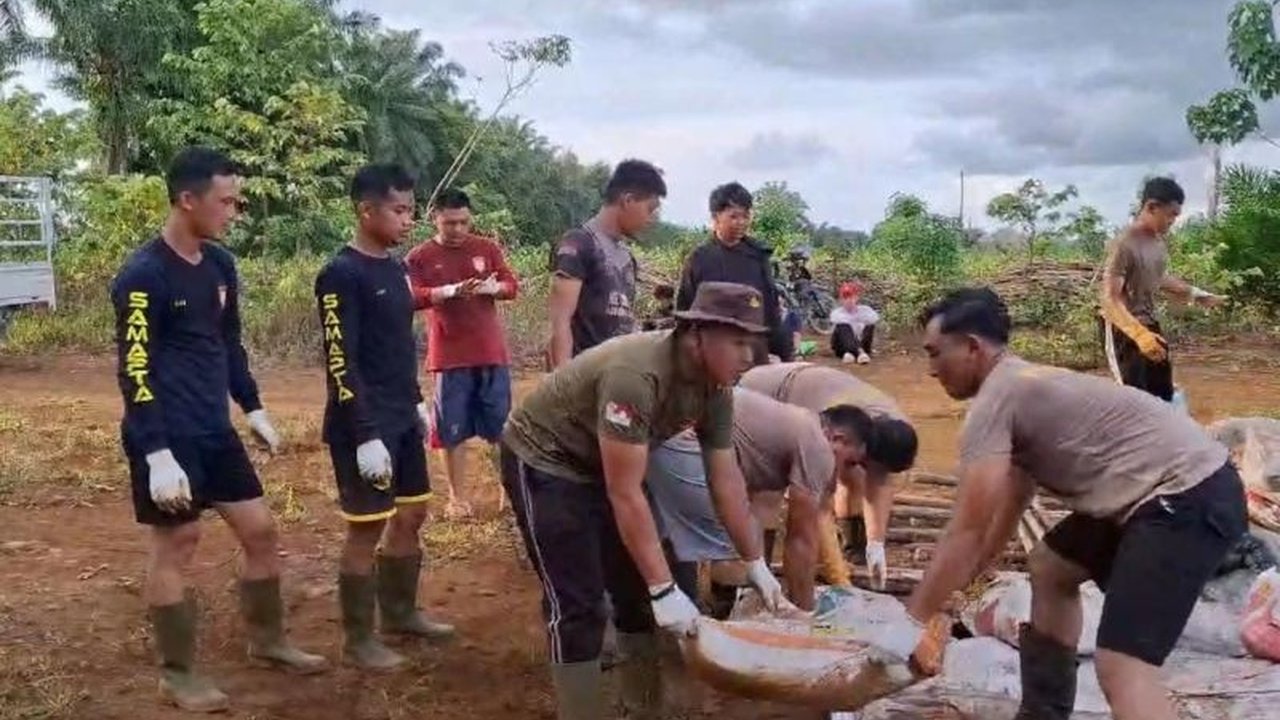 Bengkayang Pacu Produktivitas Jagung, Dukung Ketahanan Pangan Nasional
