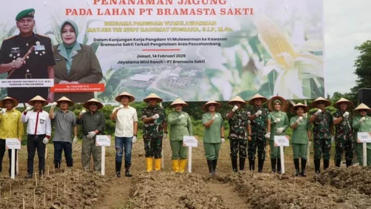Kodam VI/Mulawarman berkolaborasi dengan pemerintah dan swasta berhasil mengubah lahan eks tambang di Kutai Kartanegara, Kaltim, menjadi lahan pertanian dan peternakan yang produktif, mendukung ketahanan pangan nasional.