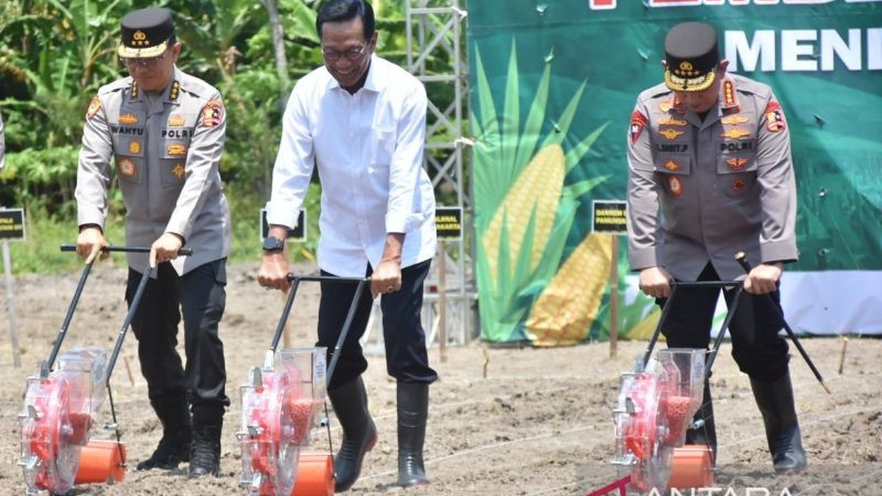 Gubernur DIY, Sri Sultan Hamengku Buwono X, menyarankan petani memisahkan bulir jagung dari tongkol sebelum dijemur untuk hasil panen yang lebih maksimal dan menghindari kerugian.