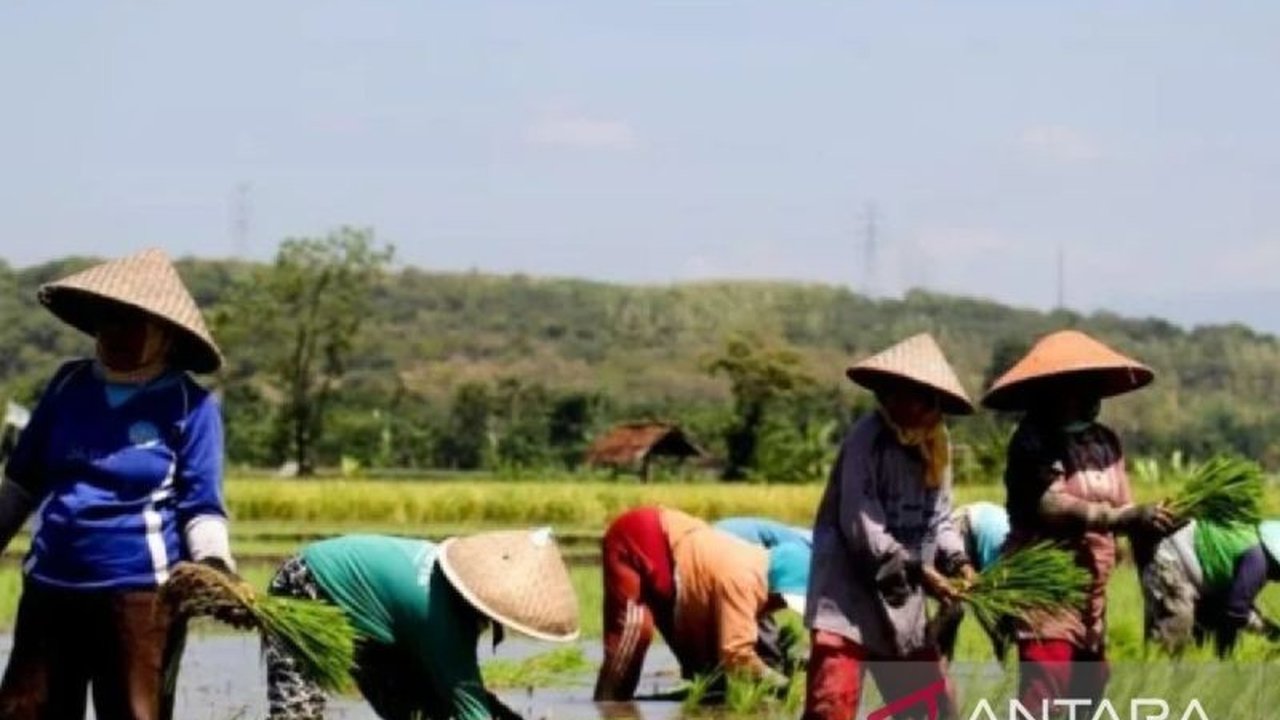 Gapoktan Situbondo Siap Jadi Penyalur Pupuk Subsidi: Tantangan Gudang Pupuk