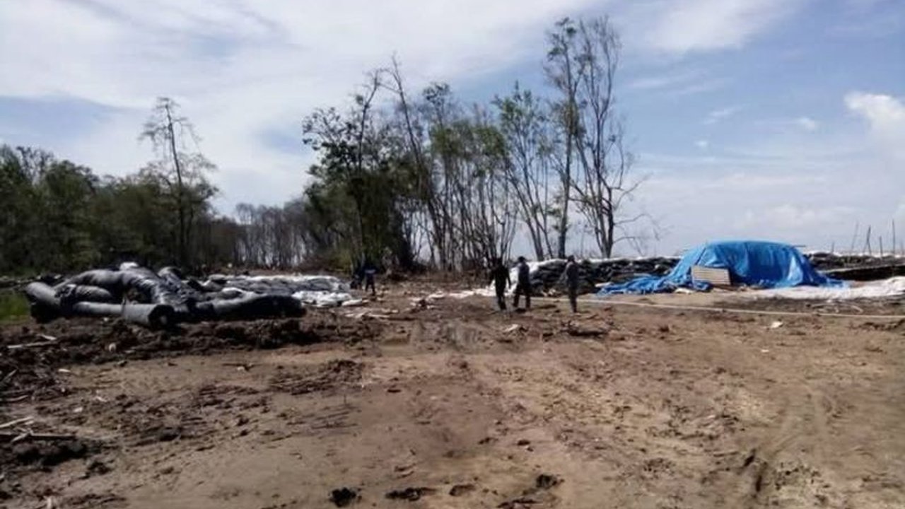 Kementerian Kelautan dan Perikanan (KKP) akan merehabilitasi 5 hektare hutan mangrove di Jambi untuk mengatasi abrasi yang semakin parah di pesisir timur, khususnya di empat desa Kabupaten Tanjung Jabung Timur.