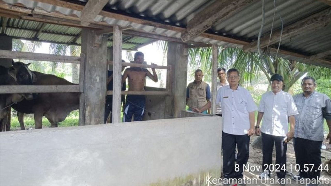 Populasi kerbau di Padang Pariaman terus menurun setiap tahunnya, disebabkan oleh reproduksi yang lambat dan tingginya permintaan daging kerbau saat Lebaran, sehingga pemerintah setempat berupaya meningkatkan populasi melalui inseminasi buatan.