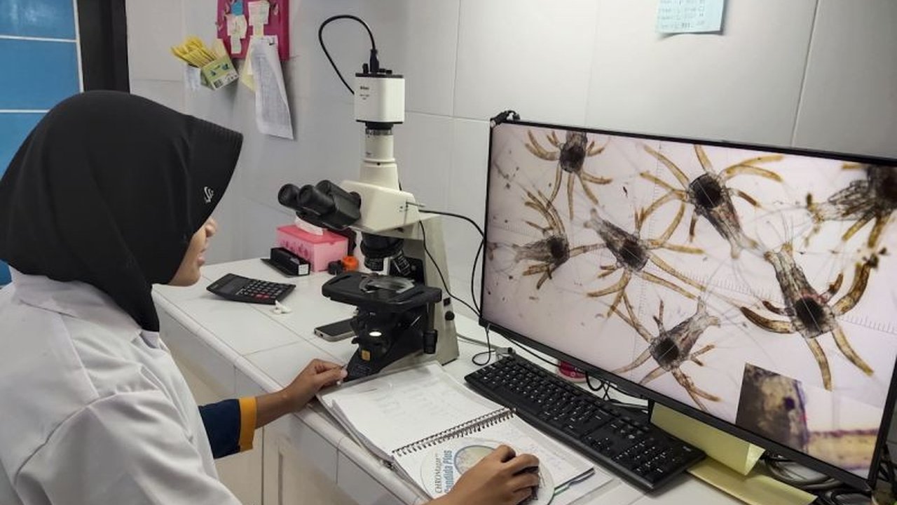 Politeknik Kelautan dan Perikanan (Poltek KP) meluncurkan program Vocational Goes to Actors (Voga) untuk mencetak SDM unggul sektor perikanan melalui peningkatan praktik, kolaborasi industri, dan magang.