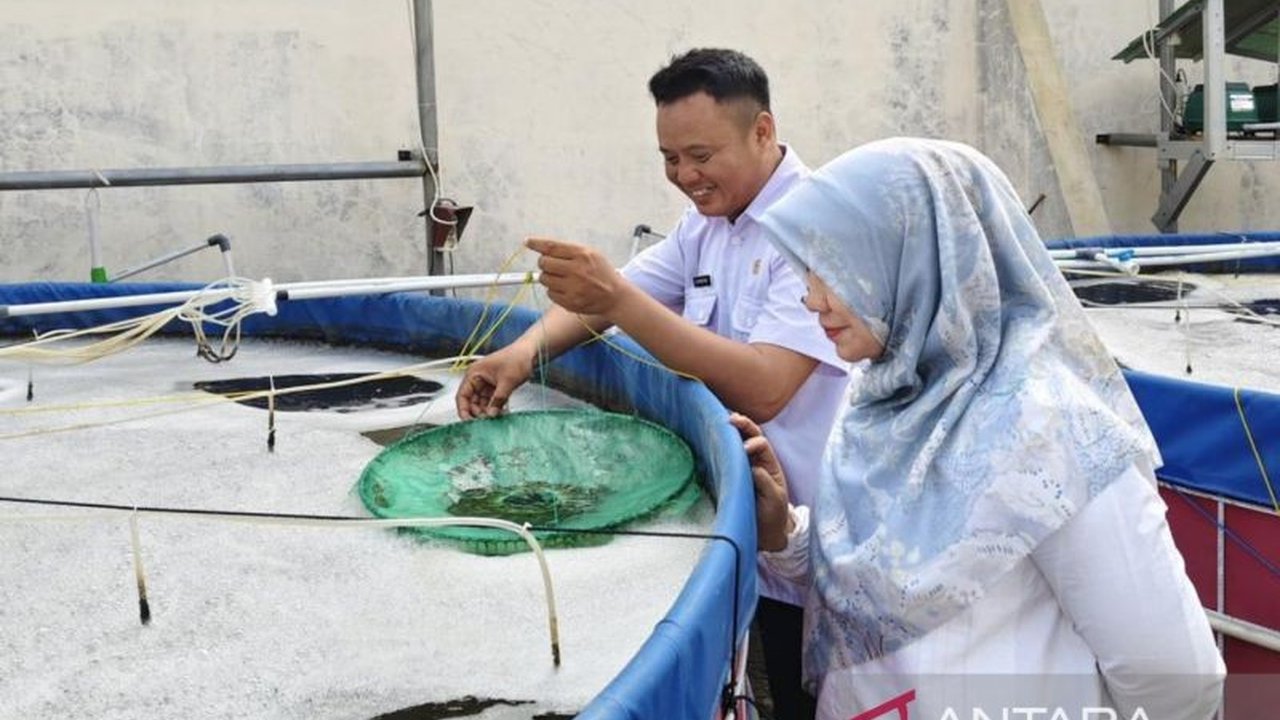 Dinas Ketahanan Pangan, Pertanian, dan Perikanan (DKP3) Kota Cirebon mengembangkan budidaya benih udang vaname di lahan sempit untuk meningkatkan produksi perikanan lokal dan kesejahteraan masyarakat.