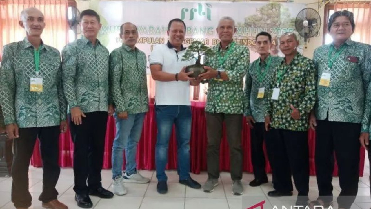 Pemerintah Kabupaten Belitung memfasilitasi pengembangan bonsai sebagai daya tarik wisata baru, meningkatkan ekonomi kreatif, dan melestarikan tanaman endemik.