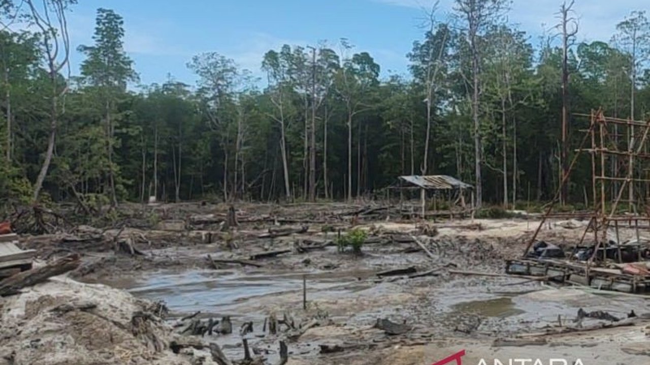 Kepolisian Resort Bangka Barat menghentikan aktivitas tambang timah ilegal di Sungai Belolaut, memberikan peringatan keras kepada penambang liar dan berkomitmen untuk menjaga kelestarian lingkungan.