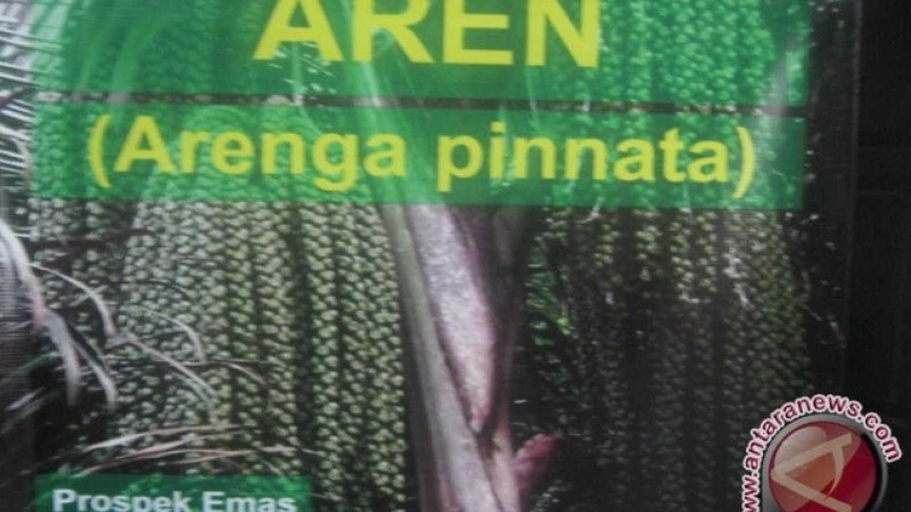 BRIN dan Fakultas Kehutanan Unhas sepakat melakukan riset dan pengembangan bahan kimia canggih berbasis biomassa aren, berpotensi menghasilkan bioetanol dan berbagai produk turunan lainnya.