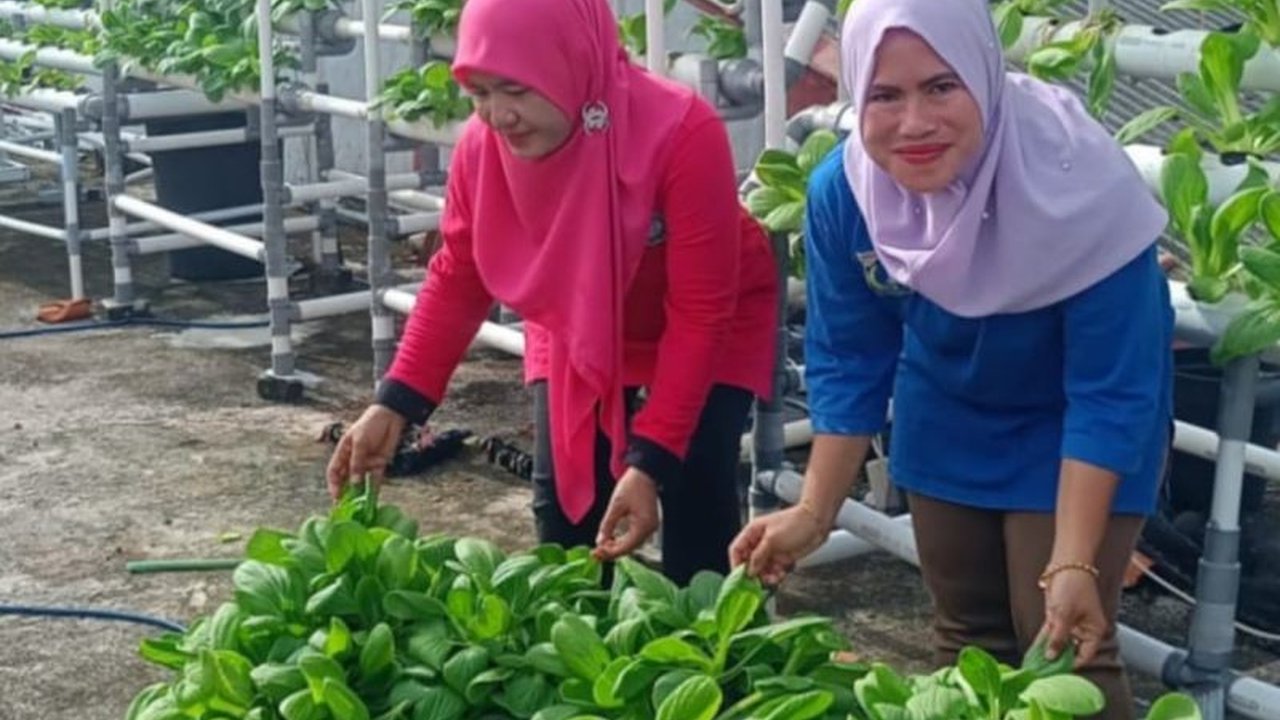 Pemerintah Kabupaten Kepulauan Seribu mendorong pemberdayaan perempuan melalui Kelompok Wanita Tani (KWT) untuk meningkatkan ketahanan pangan lokal, terbukti dengan panen pakcoy di Pulau Pramuka.