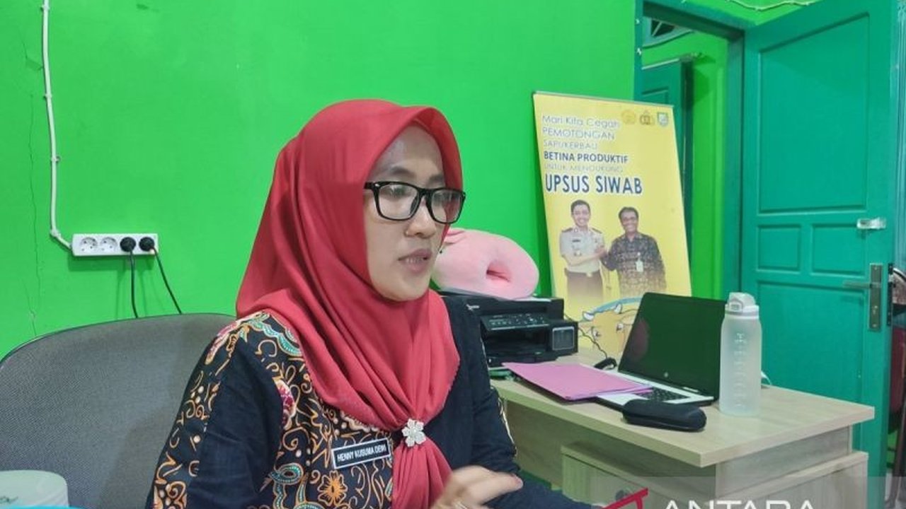 Pemerintah Kota Bengkulu meminta peternak untuk mematuhi imbauan pencegahan PMK, termasuk selektif membeli ternak dan menjaga kebersihan kandang, meskipun belum ada kasus baru, namun kewaspadaan tetap dijaga.