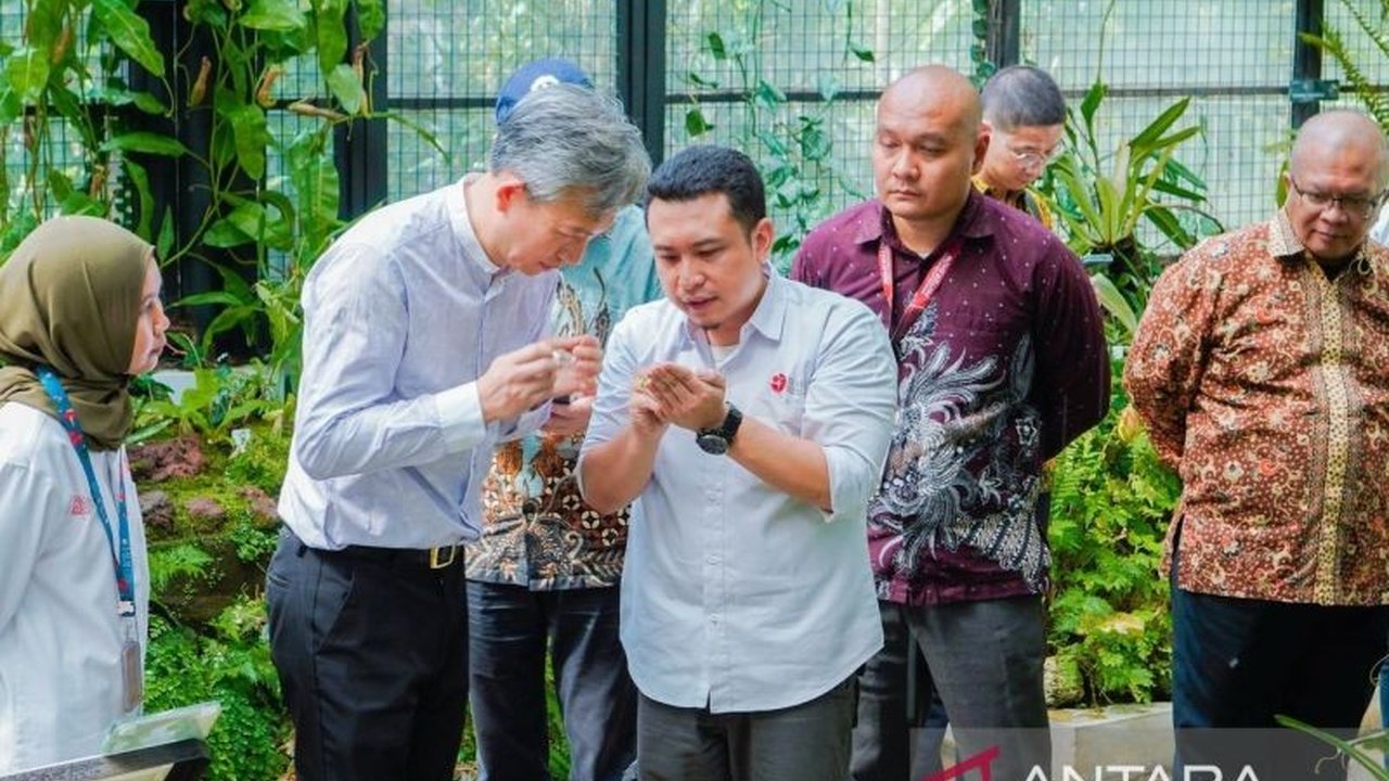 Badan Riset dan Inovasi Nasional (BRIN) bersama Kedutaan Besar China membuka peluang kolaborasi riset biodiversitas, ditandai kunjungan Dubes China ke Kebun Raya Bogor dan eksplorasi berbagai program riset.