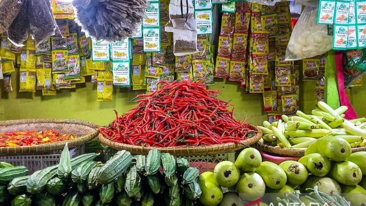 Petani di Natuna, Kepulauan Riau, berhasil meningkatkan produksi cabai hingga 135,7 ton pada tahun 2024, melampaui capaian tahun sebelumnya dan berkontribusi pada ketahanan pangan lokal.