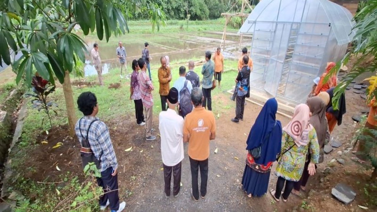 Kabupaten Kulon Progo meluncurkan Kampoeng Kakao Menoreh, mengintegrasikan perkebunan kakao, pengolahan, dan pariwisata untuk meningkatkan perekonomian lokal serta melibatkan regenerasi petani kakao.