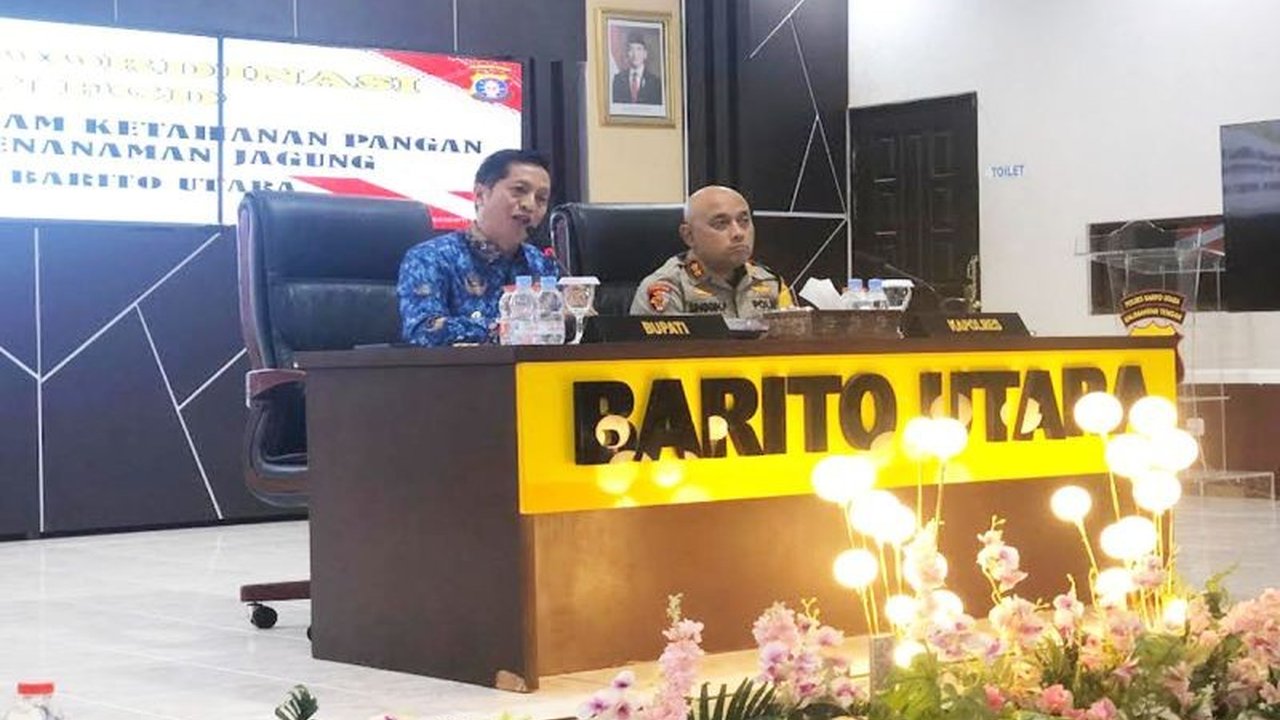 Barito Utara Pertahankan Jagung Hibrida sebagai Komoditas Unggulan