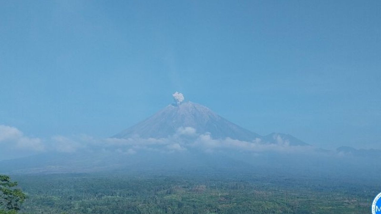 BPBD Lumajang mengimbau warga lereng Gunung Semeru waspada hujan abu tipis akibat cuaca ekstrem, meski dampaknya sejauh ini masih minimal, imbauan penggunaan masker dan kacamata tetap disarankan.
