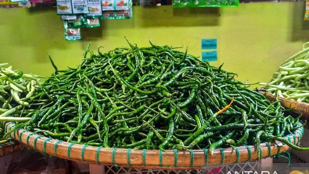 Pemerintah Provinsi Kepri menyalurkan bantuan benih cabai kepada petani di Natuna untuk meningkatkan produktivitas dan mengurangi kendala biaya produksi yang tinggi, dengan fokus pada varietas lokal yang tahan hama.