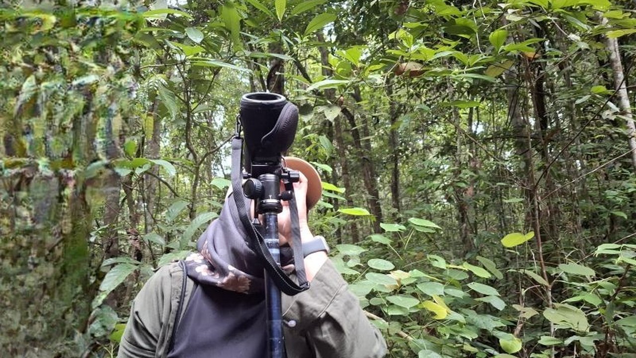 Desa penyangga Taman Nasional Way Kambas meluncurkan program adopsi sarang burung liar dengan biaya terjangkau, mengajak masyarakat berpartisipasi dalam konservasi satwa dan edukasi lingkungan.