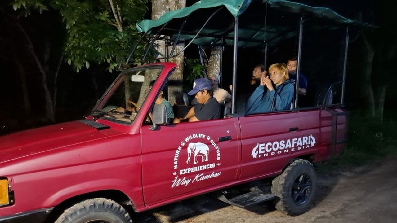 Taman Nasional Way Kambas (TNWK) Lampung menawarkan wisata safari malam untuk mengenalkan satwa dilindungi kepada masyarakat, sekaligus edukasi pelestarian alam.