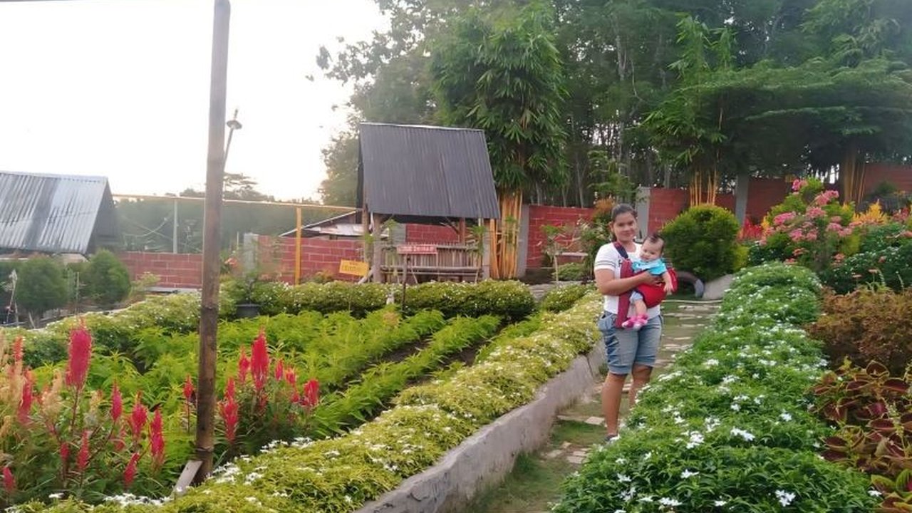 Taman Bunga di Baturaja, OKU, Sumatera Selatan, menjadi destinasi wisata alam favorit keluarga karena tiket masuk murah, lokasi mudah dijangkau, dan menawarkan keindahan beragam bunga serta fasilitas lengkap.