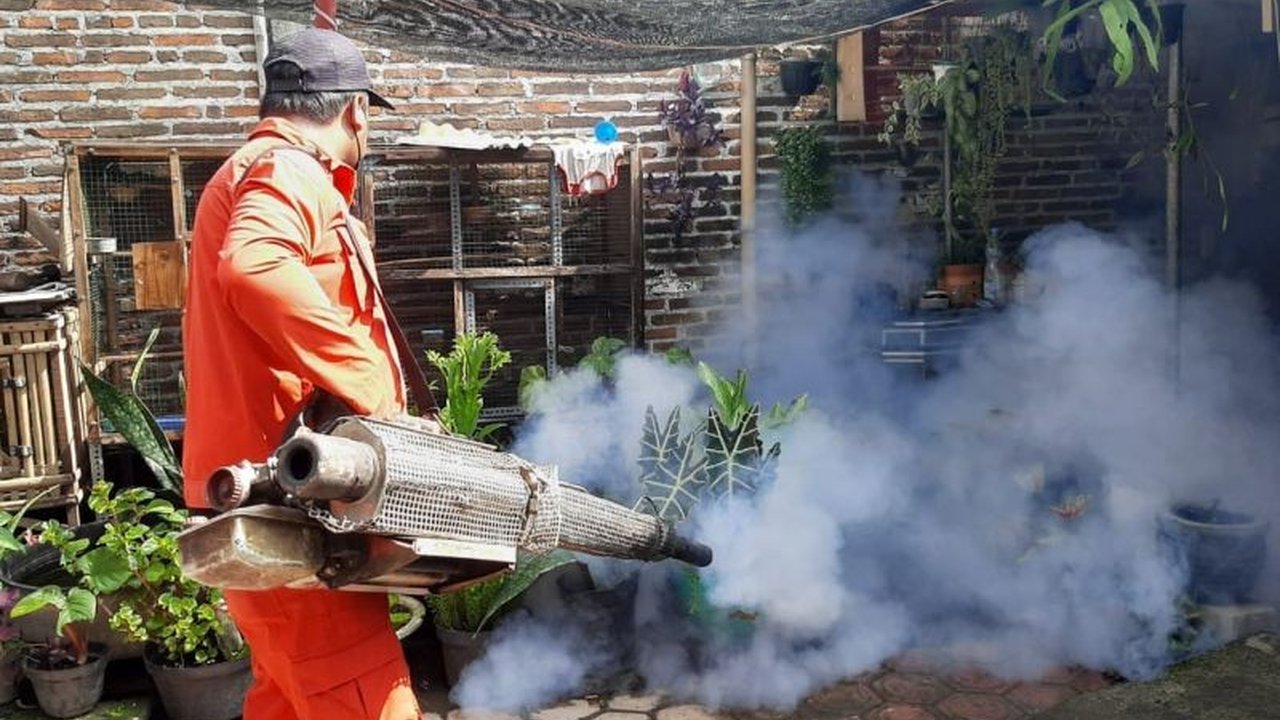 Meningkatnya kasus Demam Berdarah Dengue (DBD) di Tulungagung, Jawa Timur pada Januari 2025 mendorong Setda Tulungagung untuk mengimbau warga giat melakukan Pemberantasan Sarang Nyamuk (PSN).