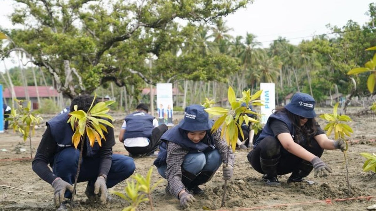 PT Permodalan Nasional Madani (PNM) bersama relawan Bakti BUMN menanam 1.000 bibit mangrove di Donggala, Sulawesi Tengah, untuk mencegah abrasi pantai dan menjaga kelestarian ekosistem pesisir, sekaligus mendukung program SDGs.